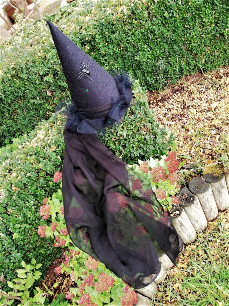 a cet emplacement doit s'afficher une image